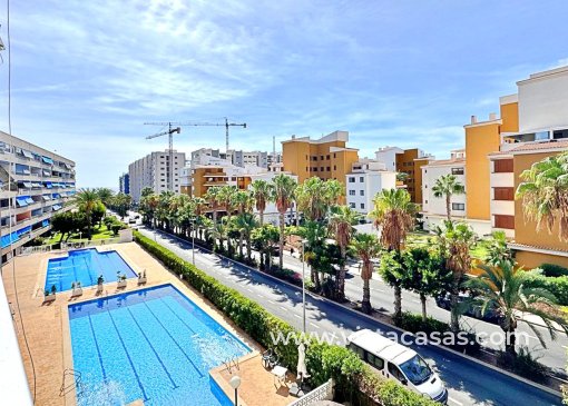 Apartamento - Venta - Punta Prima - V-17264