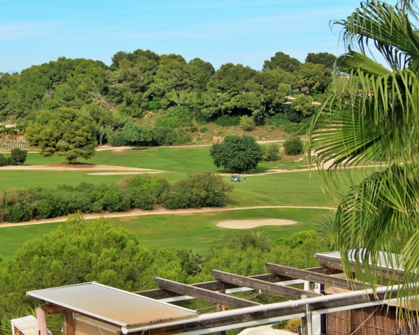 Expérience fantastique & grand professionnalisme