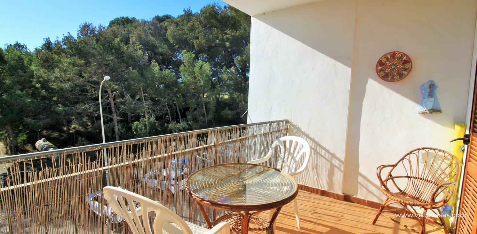 South facing apartment for sale Villamartin Plaza balcony