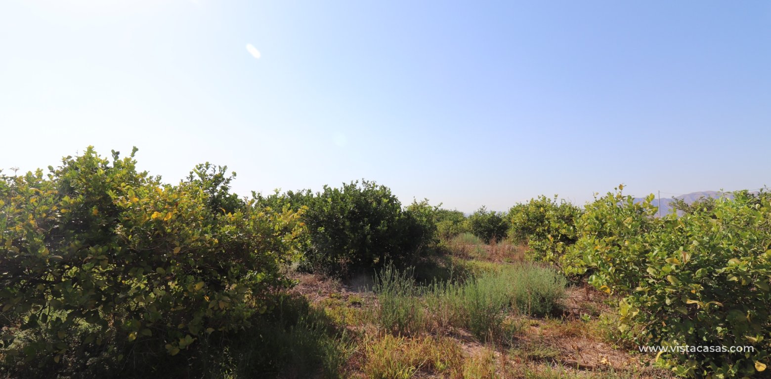 Vente - Villa - Albatera