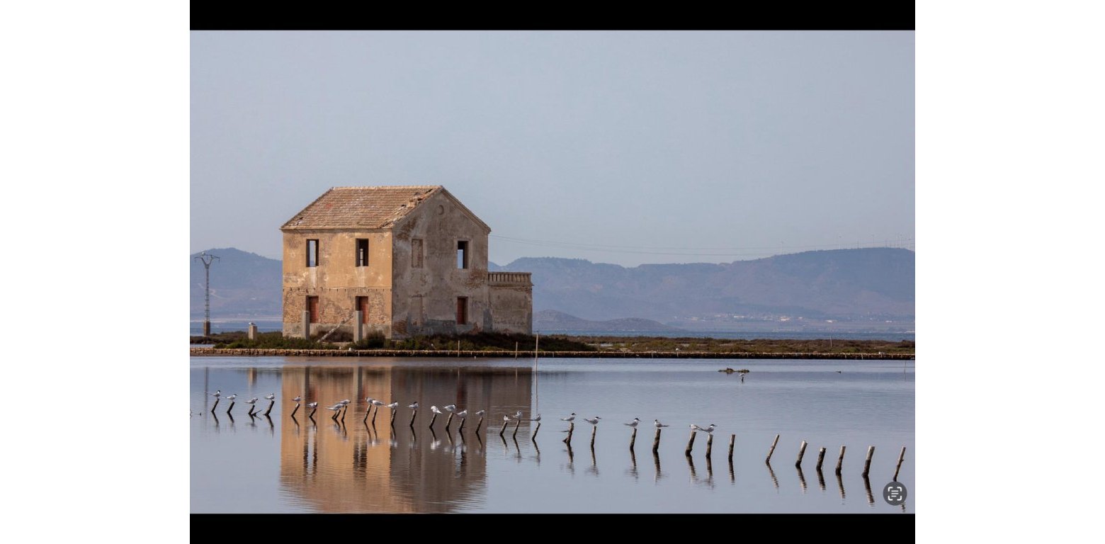 Sale - Lägenhet - San Pedro del Pinatar