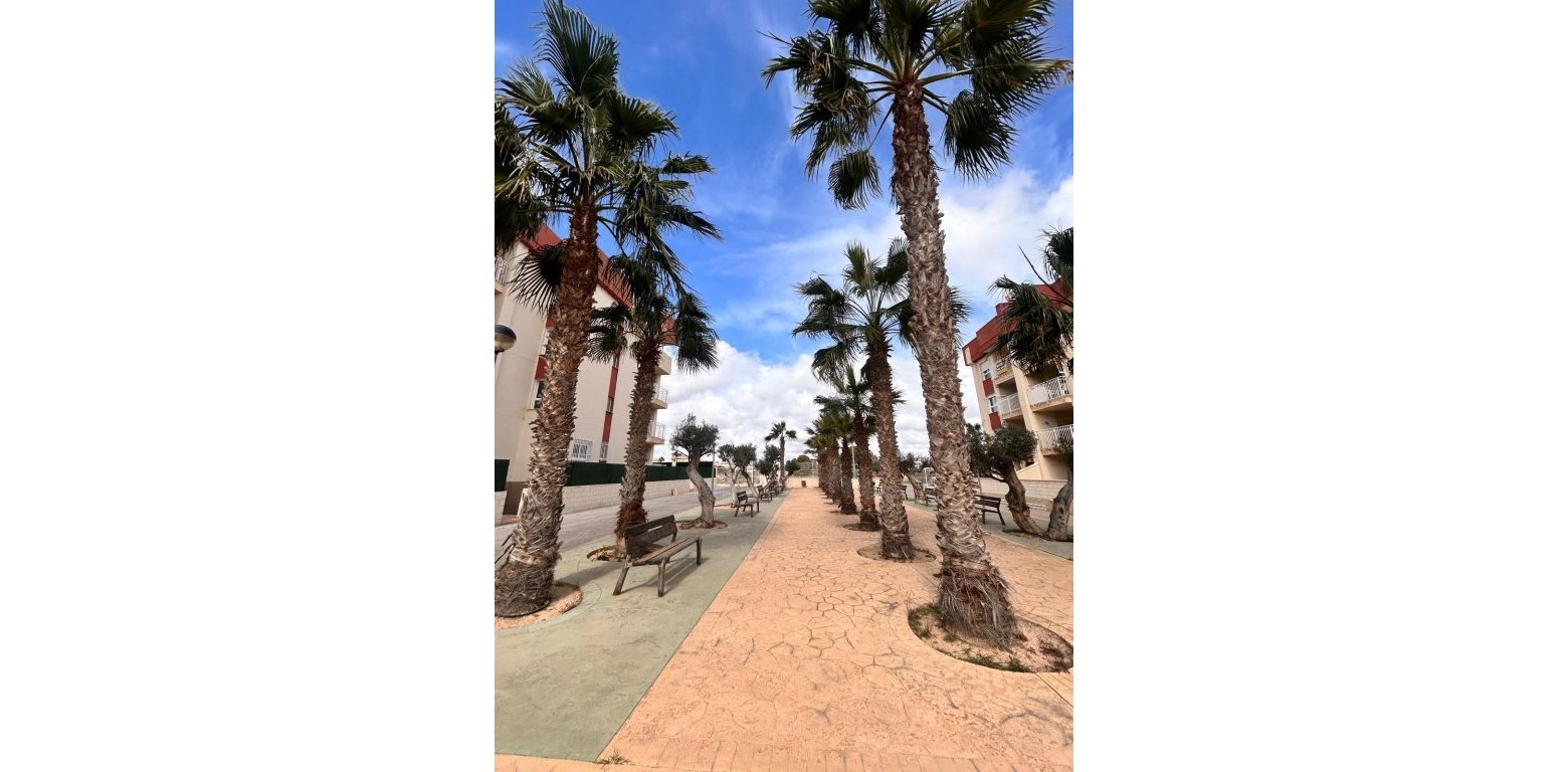 New Build - Apartment - Cabo Roig