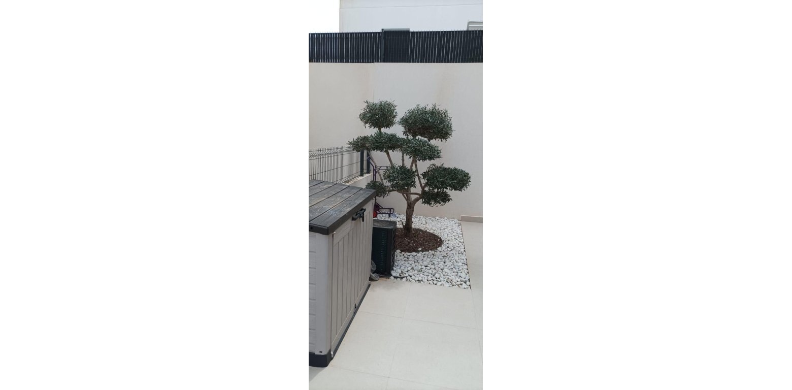 Venta - Chalet - Algorfa