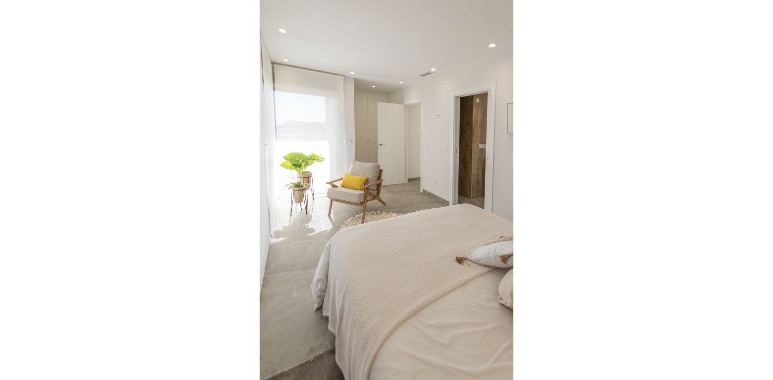 Ny konstruktion - Villa - Pilar de la Horadada