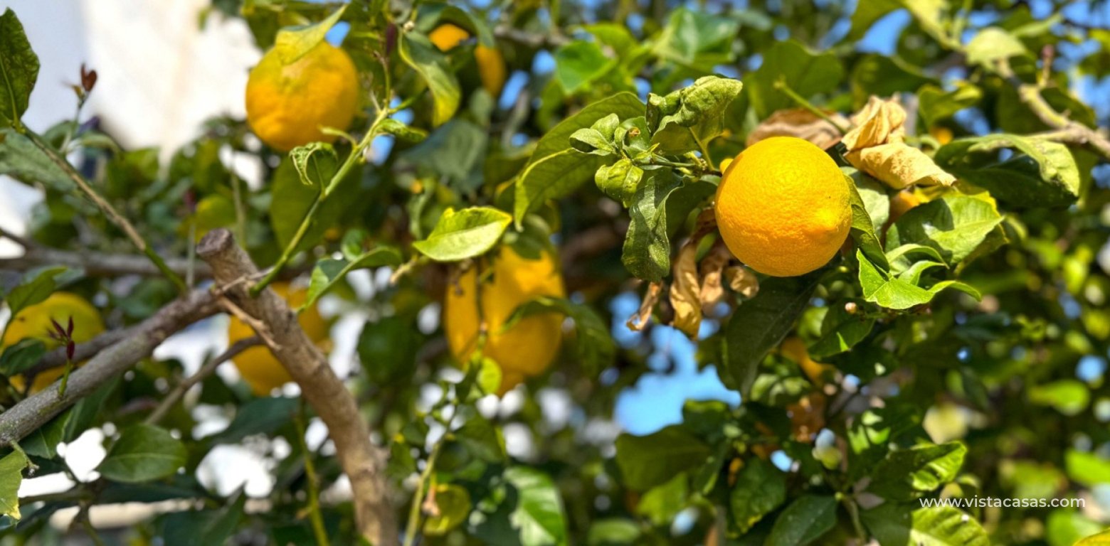 Wtórny - Villa - Villamartin