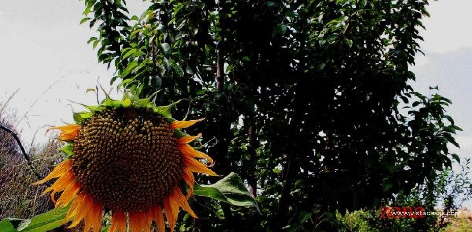 Sale - Villa - Gea Y Truyols