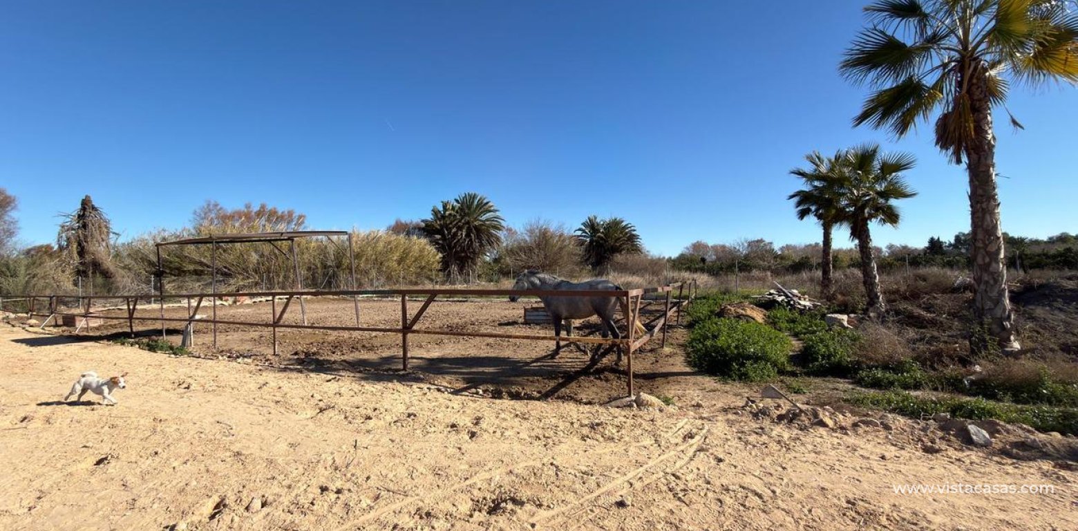 Sale - Plot - Algorfa