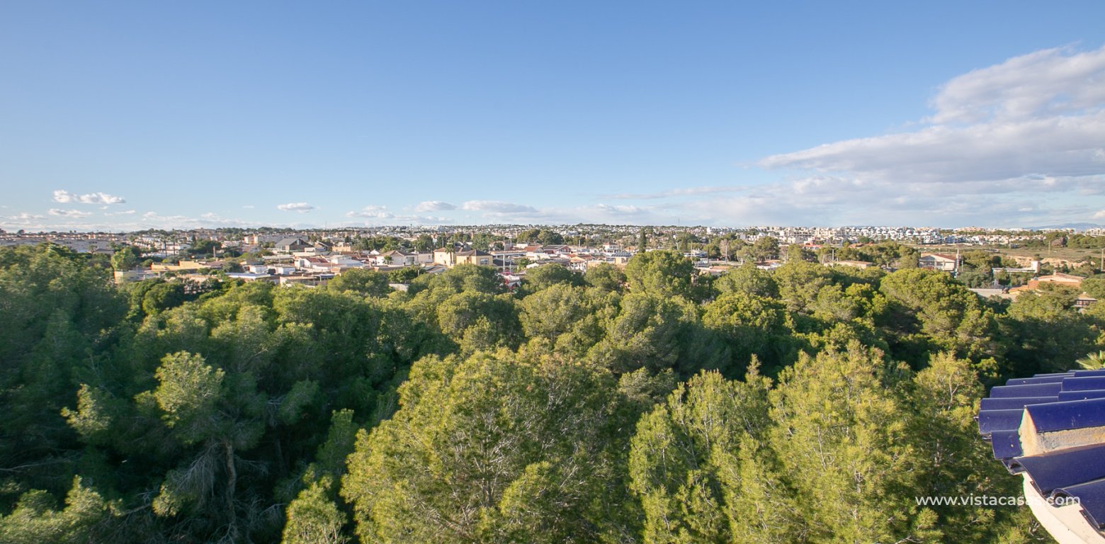 Sale - Wohnung - Cabo Roig