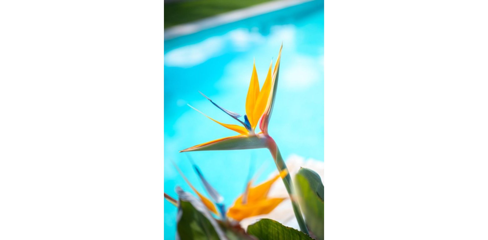 Venta - Apartamento - Pilar de la Horadada - Lo Romero Golf