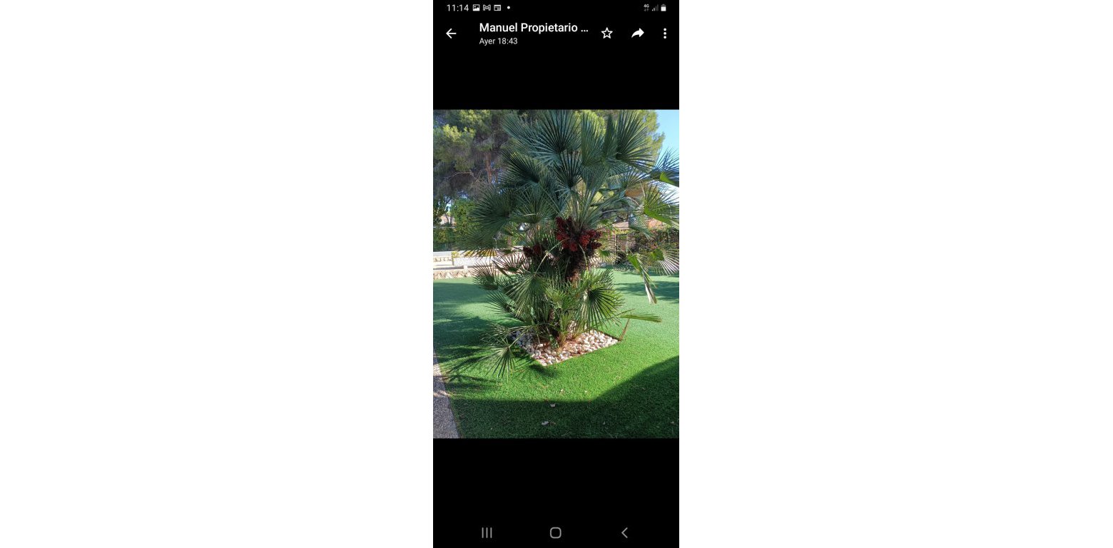 Resale - Villa - Campoamor