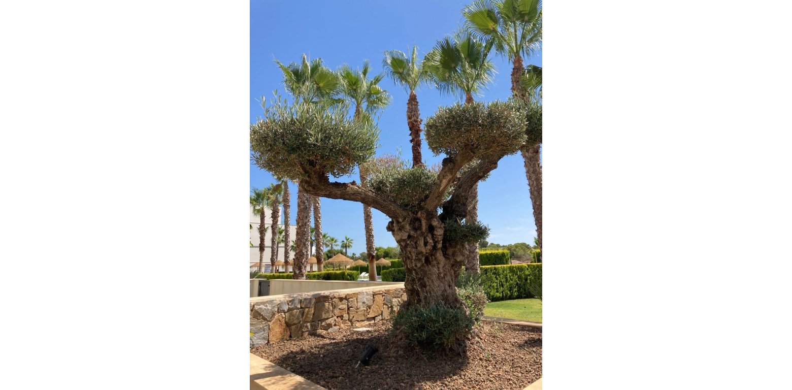Venta - Apartamento - Las Colinas Golf