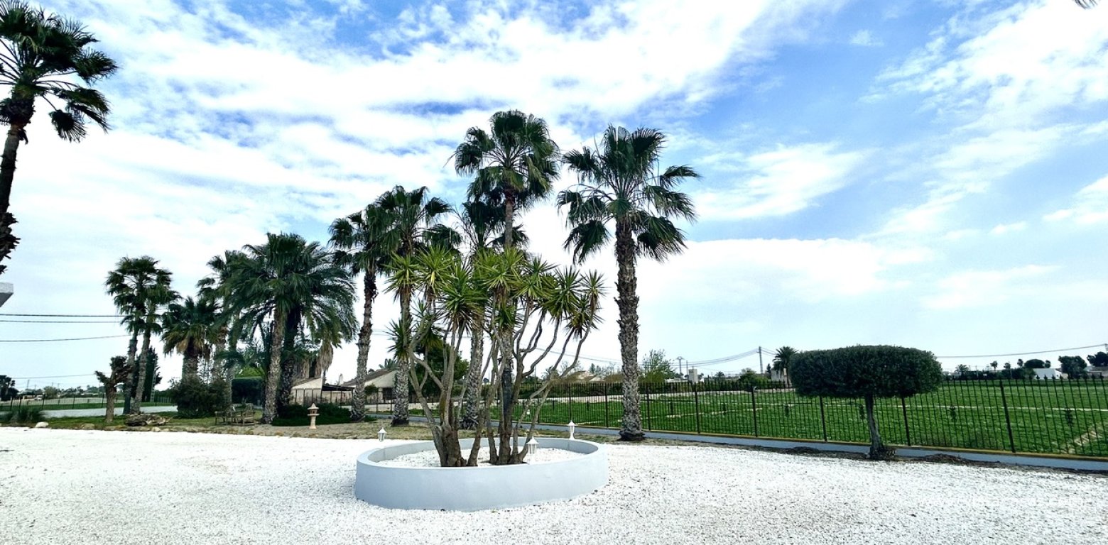Sale - Villa - Catral