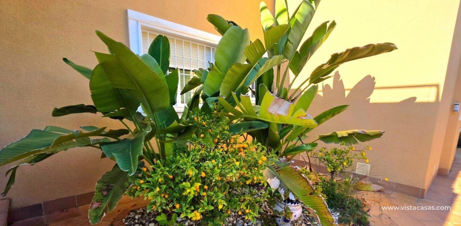 Sale - Villa - Campoamor