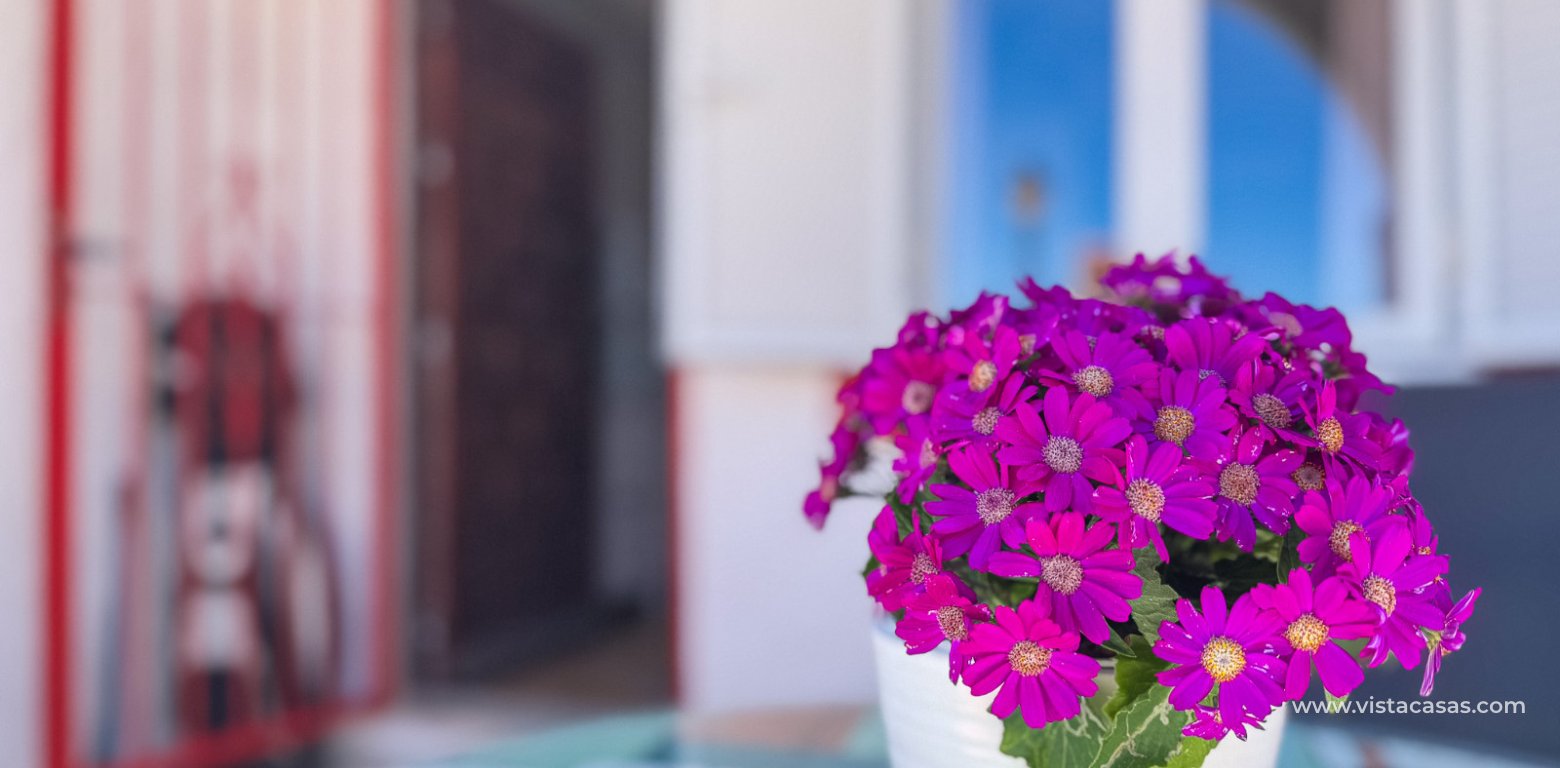 Sale - Appartement - Torrevieja