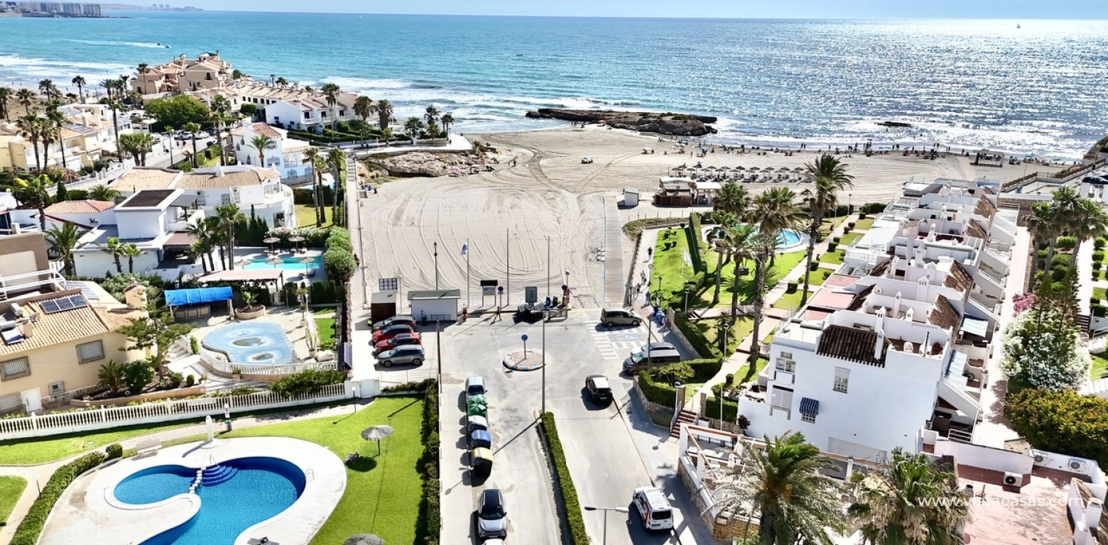 Vente - Commercial - Cabo Roig