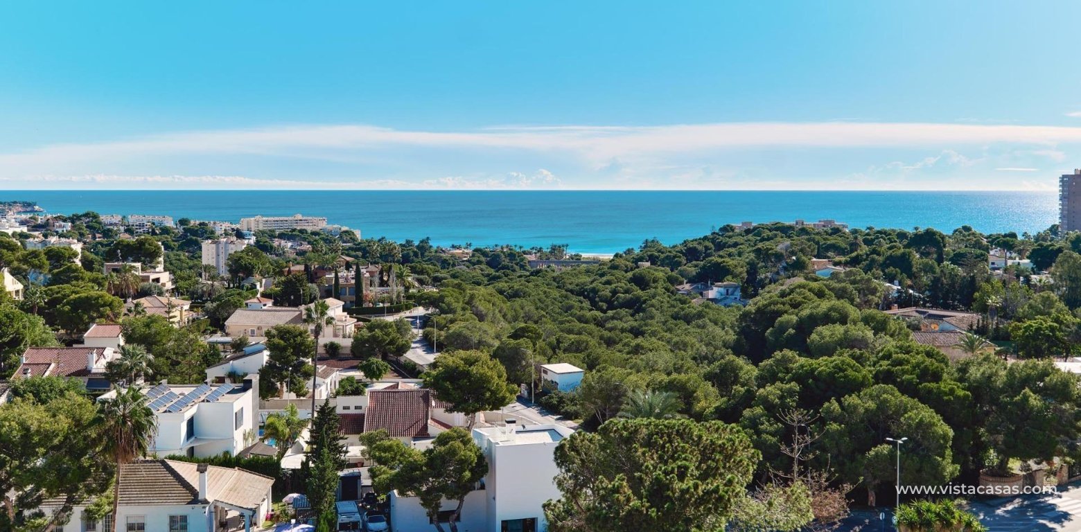 Sale - Wohnung - Campoamor