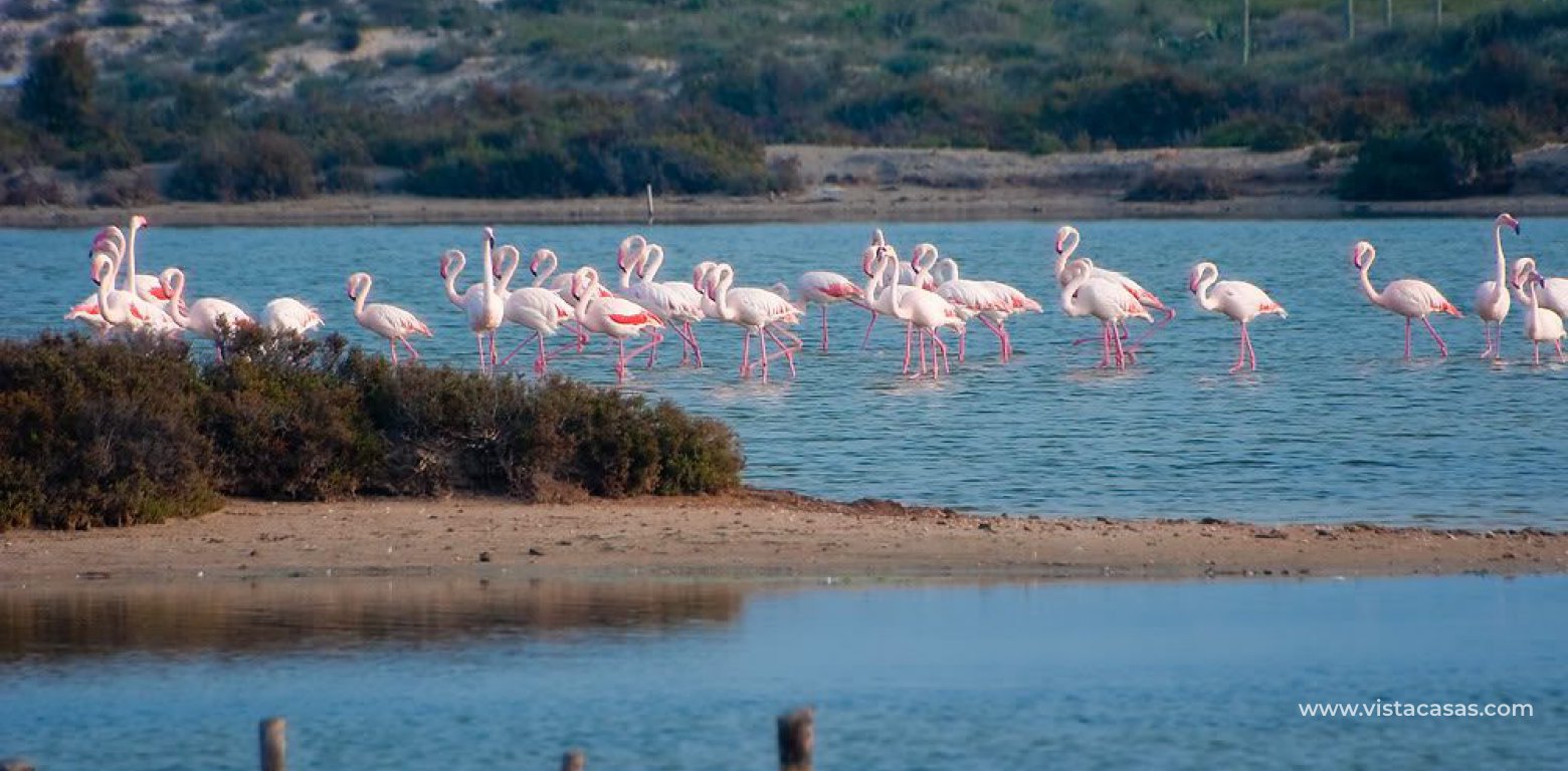 New Build - Apartment - San Pedro del Pinatar - Lo Pagán